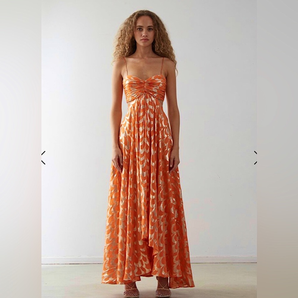 DELFI COLLECTIVE ADELE DRESS in perfect condition (worn once) (size small)
